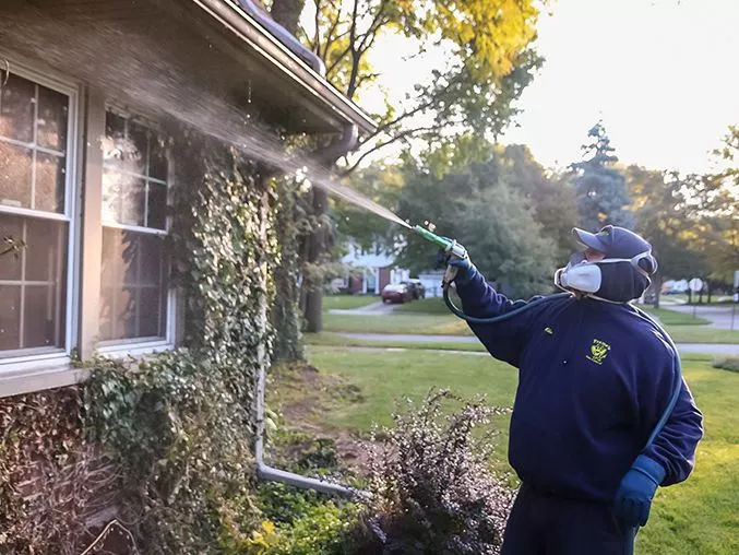 Frames Pest Tech spraying house