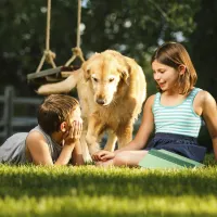 dog and kids on grass