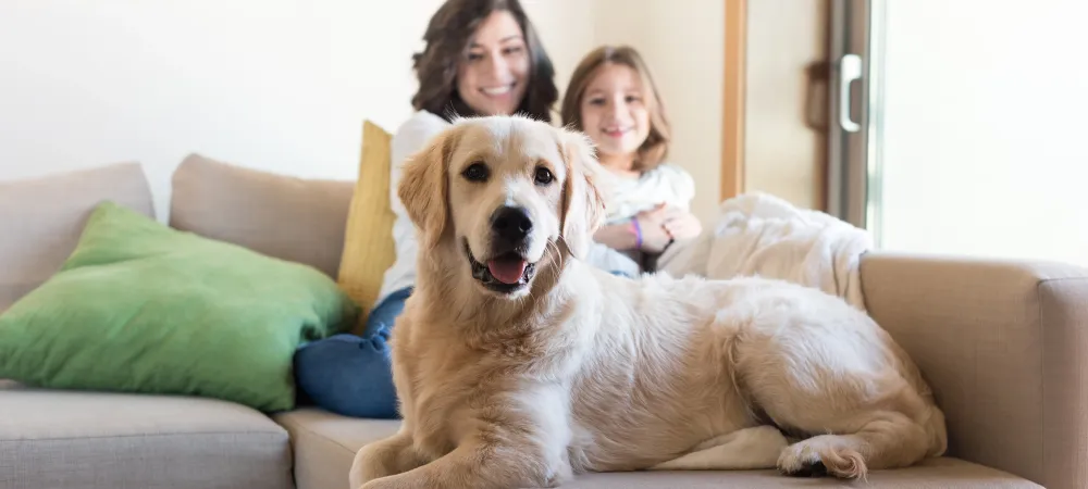 family and pet on couch